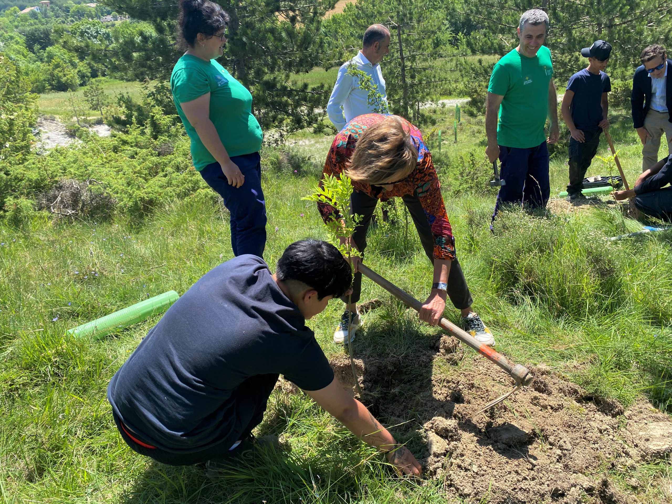 Fundación Ilundain Haritz Berri Fundación Iberdrola España 5001