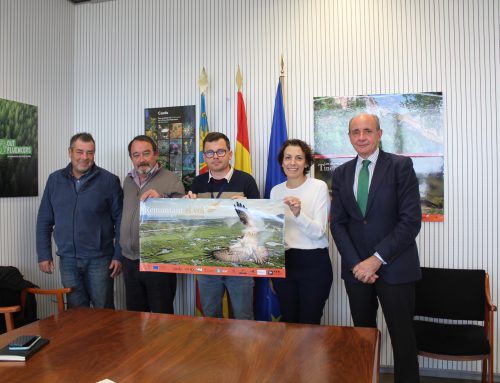 Fundación Iberdrola España supports the reintroduction of the osprey in the Valencian Region