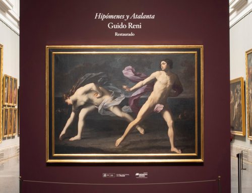 Tras su reciente restauración el Museo Nacional del Prado presenta Hipómenes y Atalanta de Guido Reni en un emplazamiento singular