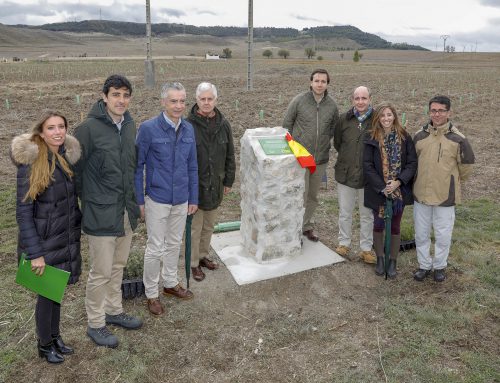 Fundación Iberdrola España reforesta el Campo de Maniobras y de Tiro Militar Renedo-Cabezón, en Valladolid